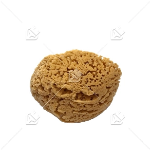 Губка морская натуральная PAVAN 160 мм